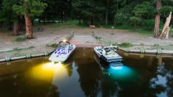 Roswell Lighting<NightWave Underwater Light